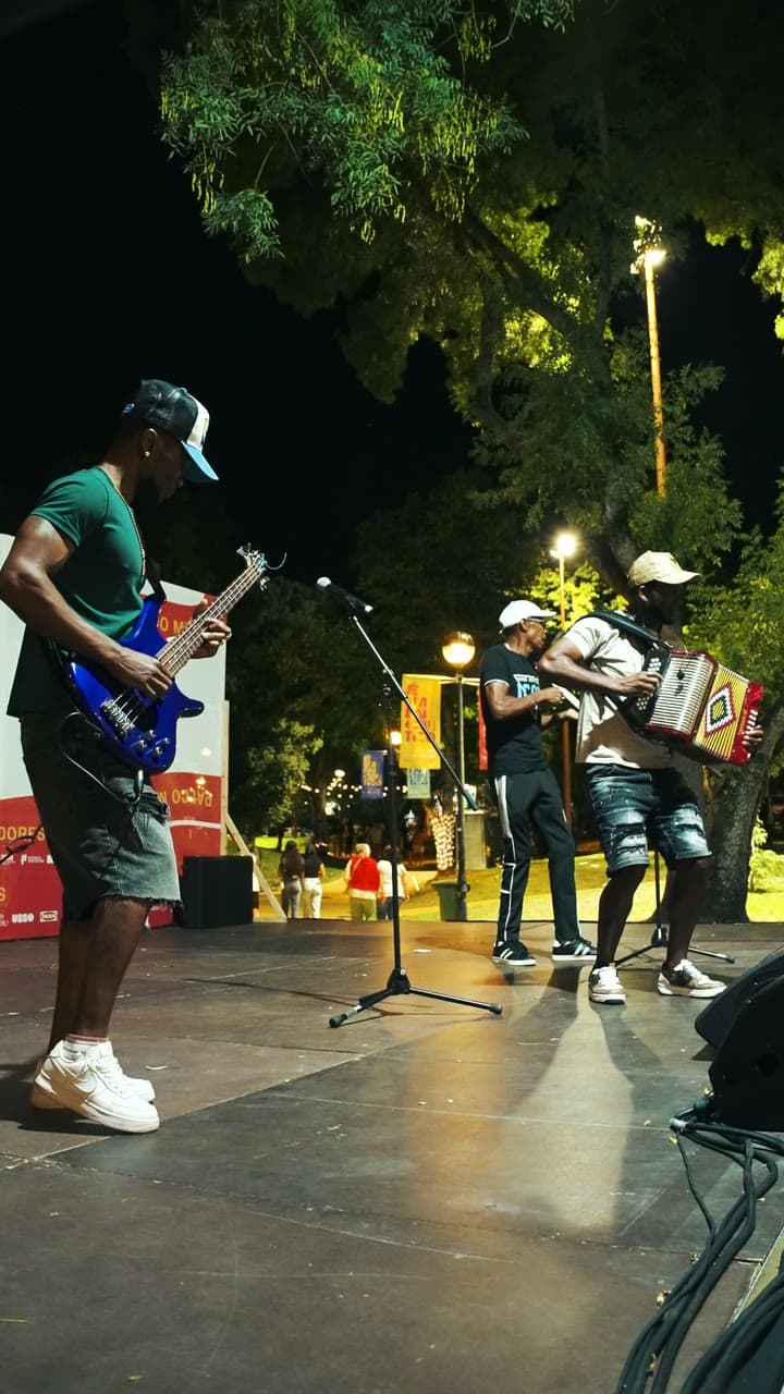 Baixista e acordeonista a tocar no palco à noite