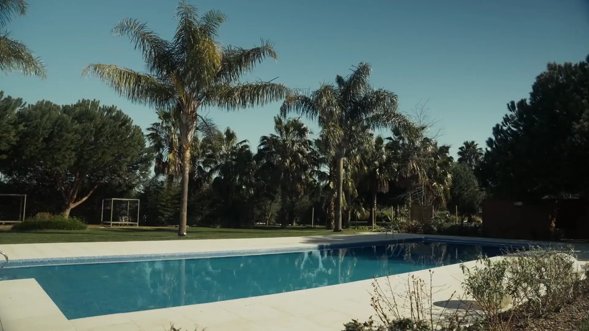 The pool and palm trees at Sirius Park, in Montijo